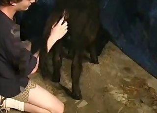 Zoophile stimulates tight anus of a doggy
