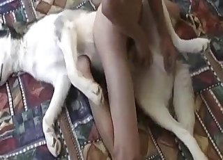 Dude is gonna rape every animal there