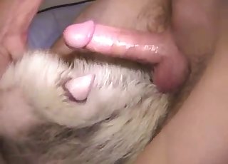 Tiny-dicked dude is gonna fuck it