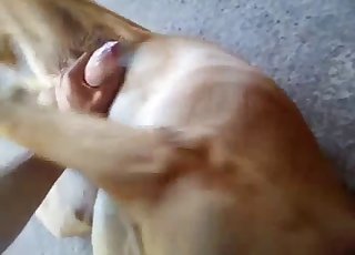 Really ionate fisting in a zoo vid