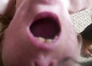 Dog cums a big load over her boobs