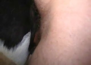 Thick cow fucked by an equally thick dude