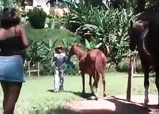 Pony enjoys masturbation sesh