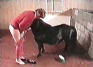 Hot mature chick in zoo sex action