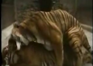 Different types of animals having good sex