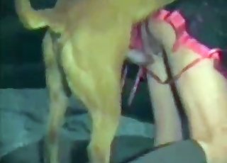 Crossdresser-looking zoophile gets fucked