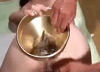 Awesome Japanese bestiality action with worms